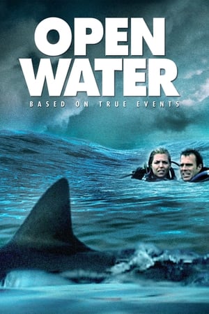 Download Open Water (2003) Dual Audio