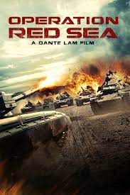 Download Operation Red Sea (2018) Dual Audio