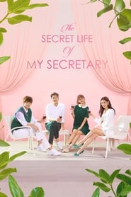 The Secret Life of My Secretary S01