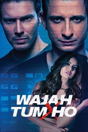 Wajah Tum Ho 2016 Hindi Full Movie Download