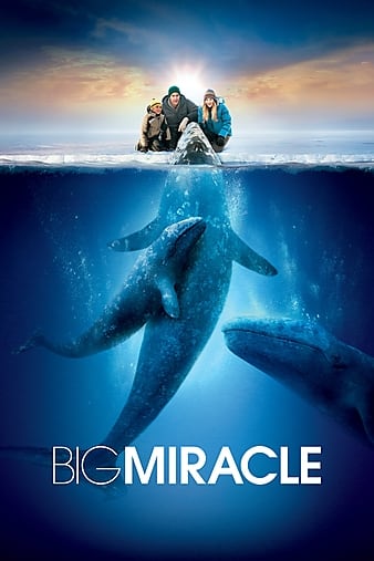 Download Big Miracle (2012)